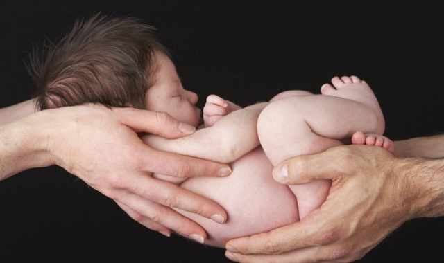 Ecco i donatori di coccole